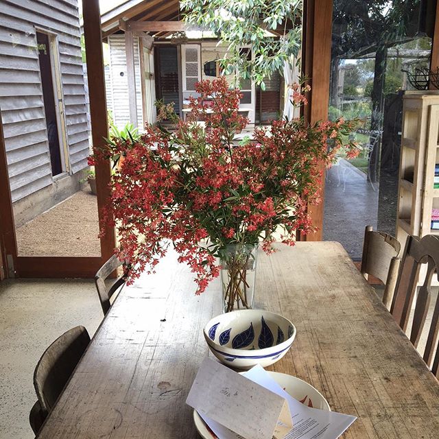 Fresh flowers for our guests, gotta love Christmas Bush. Thanks @twigandgrace @lucywillyceramicsandart