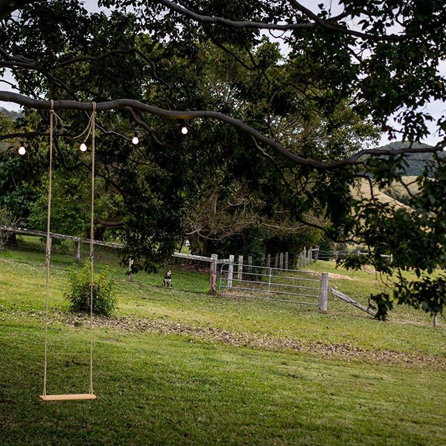 The perfect moment for a swing @swingznthingz, down by the dam#Eumundi#Noosabnb#Sunshinecoasthinterland