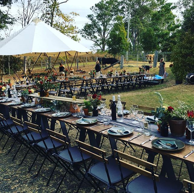 Finishing touches...just add bovine wedding props. Thanks Dexters. @twigandgrace @montvilleyurts @vanteencatering @aubreymarsoun