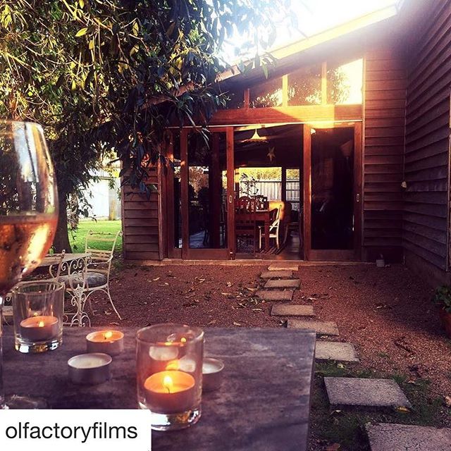 So lucky to host such talented creatives. Big perks, including beautiful photos.@olfactoryfilms #creativeguests#noosainternationalfilmfestival #grateful #blessed