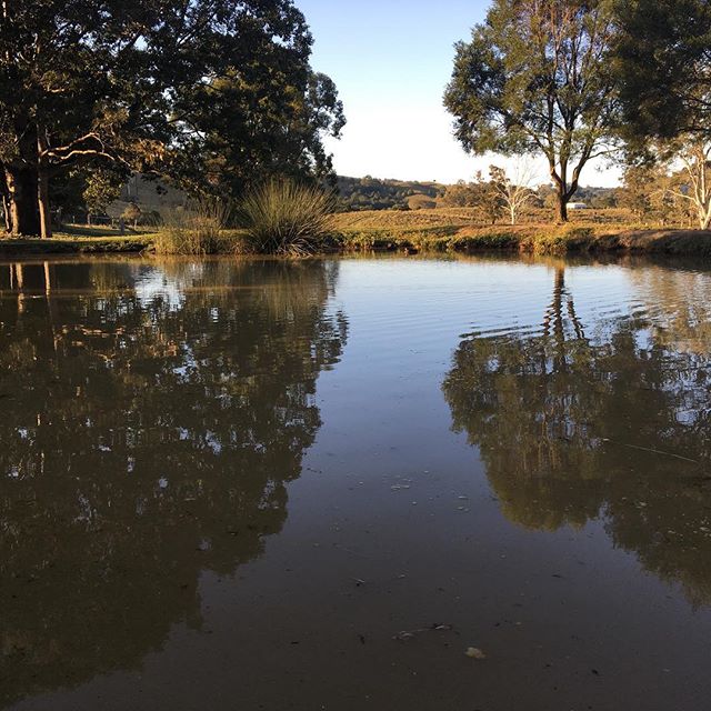 Reflections @thebarnathillhouse